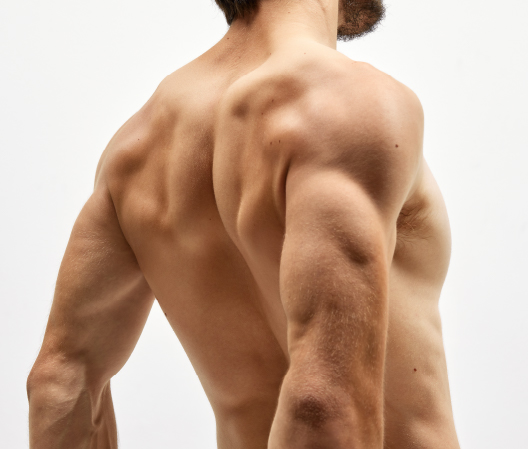 Who is the Right Candidate for Male Muscle Augmentation? 